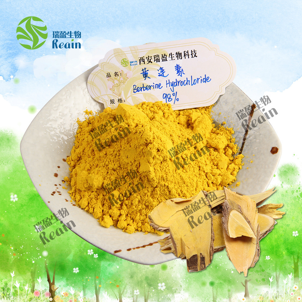 Berberine Hydrochloride 97% Berberine 100g Small Packaging Bulk Supply Preferential Price