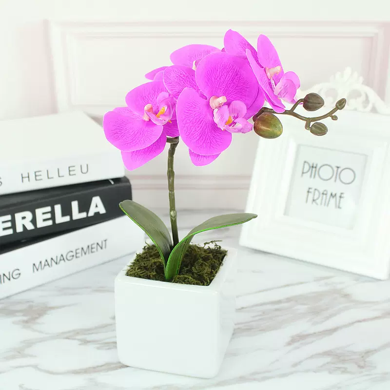 仿真花蝴蝶兰套装客厅装饰假花盆景创意摆放绢花盆栽摄影道具摆件