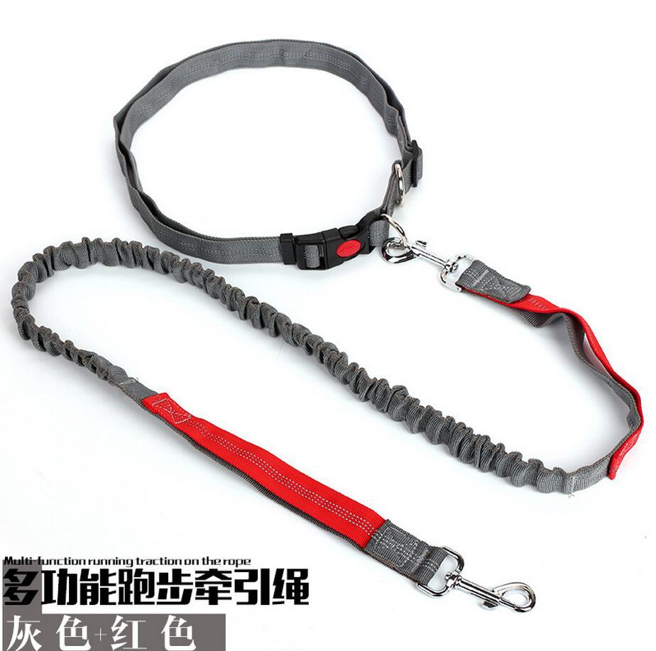 Correa de perro popular transfronteriza con dibujo de alambre reflectante de noche elástica suministros para mascotas al aire libre perro corriendo cuerda para caminar