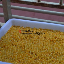 黄龙玉散珠老黄玉圆珠4mm散珠翡翠diy新疆金丝玉黄玛瑙玉珠子项链