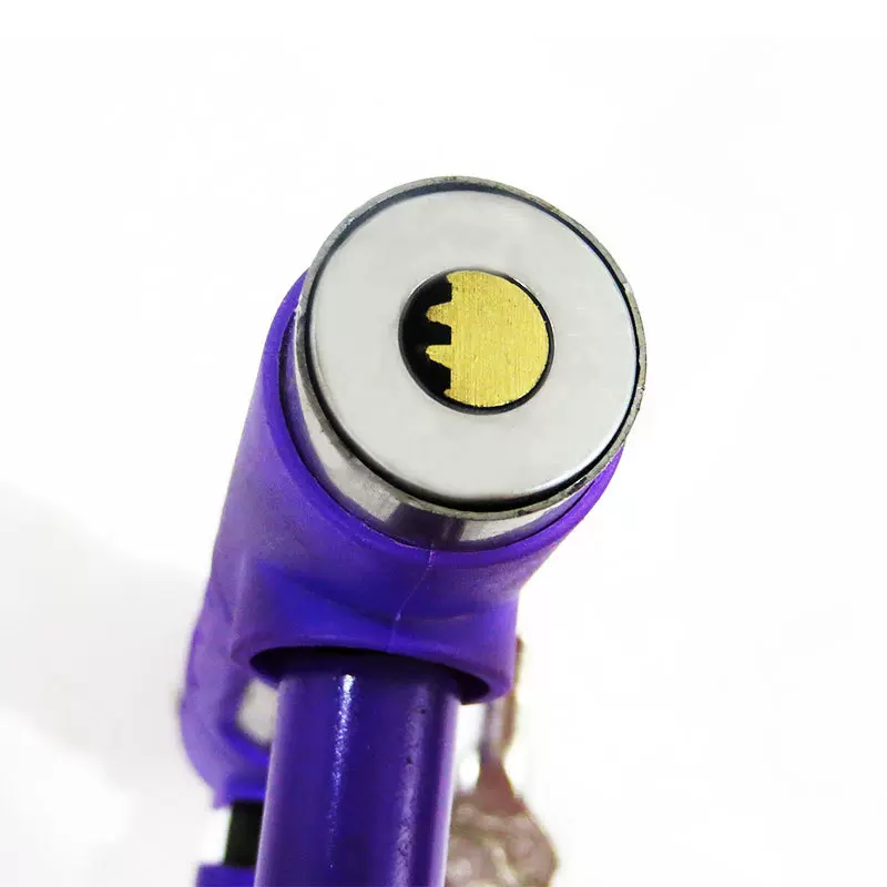 龙行天下5235两开锁芯摩托车锁 U型锁 自行车锁