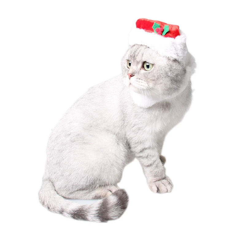 Европейский и американский Санта-Клаус бородатая собака шляпа Ji Zaizi Праздничное платье Фабрика акриловая Удобная кошка Рождественская шляпа