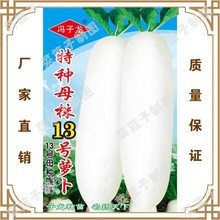 ���߷N���T�����S��ֱ�����������ش����ļ� �ַNĸ��13̖�}��