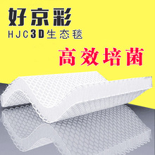 �~���^�V������ħ̺��ˮ�w�Sˮ�����^�V���^�V���τ��¼��g���B̺