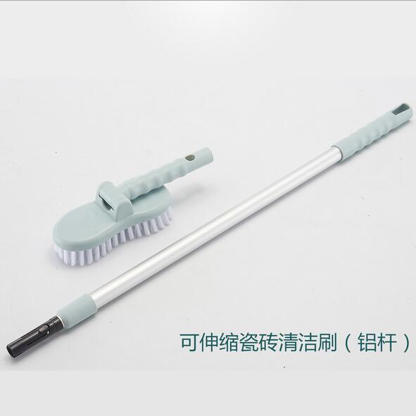 와이즈 블루
