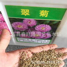 lݻNӾջܻNշN^pջղݻNӰlѿʸ