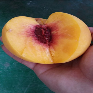 �S���һ��� �����S���Ҙ�r�� �S�����\�S���Ҙ� �S����Ʒ�N