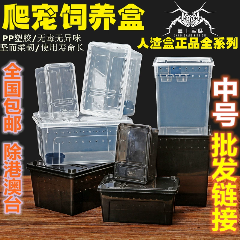 Коробка для рептилий Коробка для кормления Shougong Ciliary Рогатая лягушка Насекомое Черепаха Игрок Змея Anti-Escape Кормление Box
