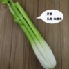 Pu celery
