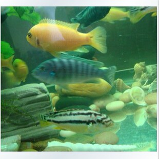 3-4���ןᎧ�~ �s���~ ���� ���� ѩ�� �����P�� �������� �����~