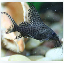 ����؈ �Ꭷ�~ �^�p�~ ˮ���~ ����� ����؈ ����؈ �����~