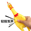 Toy, screaming chicken plastic, pet, wholesale, can bite