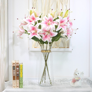 ���S���l����ٺϻ��ٻ��ٺ�3D���m��c���ҾӔz�����[�OӰ����