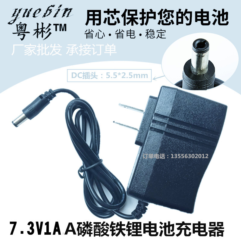 智能磷酸铁锂电池充电器 2串两串3.2V磷酸铁锂充电器 7.3V1A电源