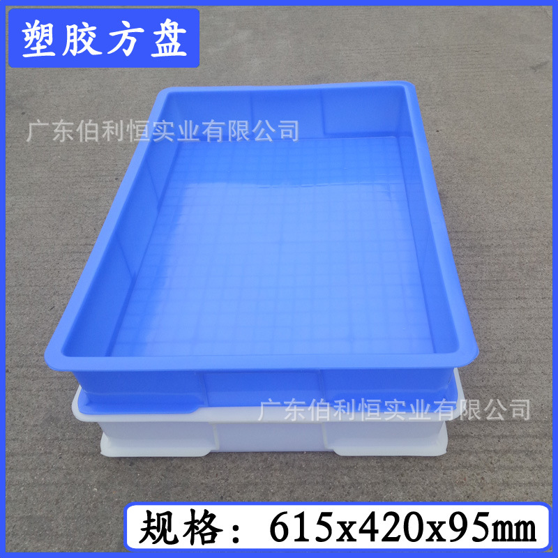 供应新料塑胶方盘白色蓝色养殖小白鼠黄粉虫塑料箱饲养盘子