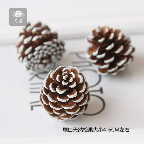 Everlasting float hanging garland making materials various dried fruits whitewashed pine cones Christmas decorations shooting props