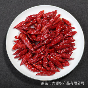 С�������콷�r�Q�Ј������L�ڹ�؛�u�ϻ���������r����