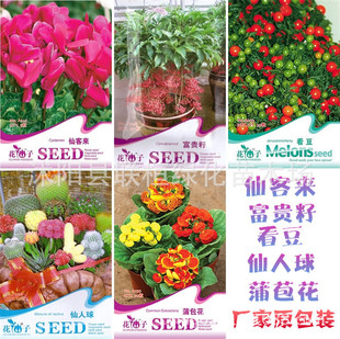 �ɿ́��N�� ���F�����F�Ѱ��������������^�p���N�Ѳʴ�ԭ���b