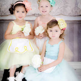 ins爆款童装 贝儿公主爱丽丝灰姑娘蓬蓬生日礼服网纱公主连衣裙