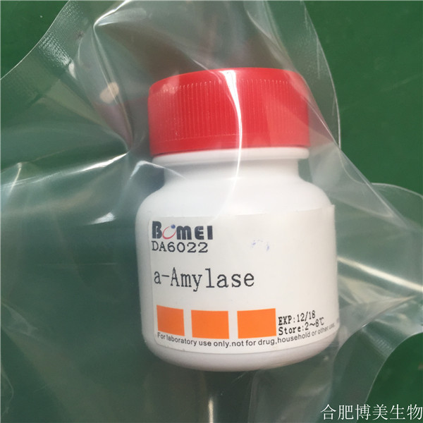 a-淀粉酶 中温  酶活≥10u/mg   科研实验试剂9000-85-5