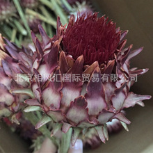 �������������޸ɻ���������[�O�b廨���յ���