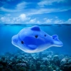 Little Gurin Blue