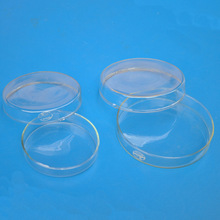 玻璃培养皿 35 60 75 90 100 180 200mm高硼硅 细胞培养皿