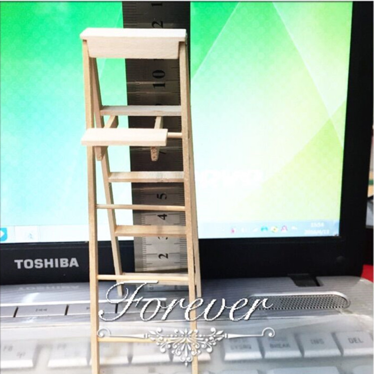 dollhouse΢��ʳ��diyģ�ͷ������������������ë������ľ������