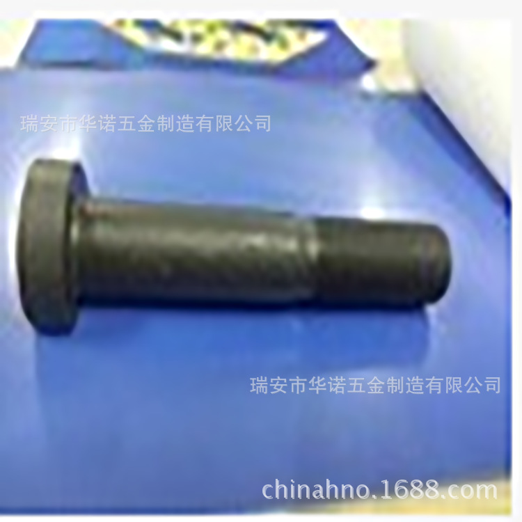 温州冷镦加工 厂家加工非标紧固件 不锈钢特大螺丝  螺栓直销批发