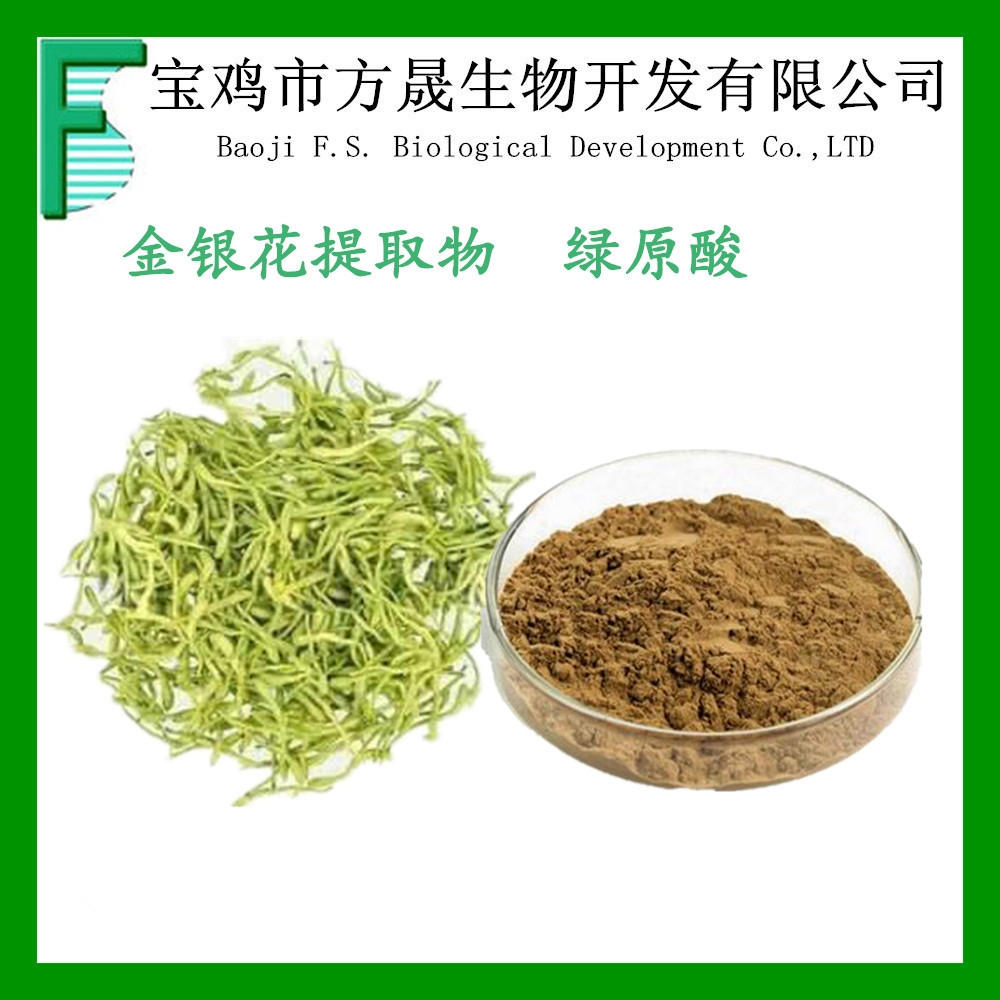 厂家现货口碑供应金银花提取物  木犀草苷1% 4%绿原酸 水溶性好