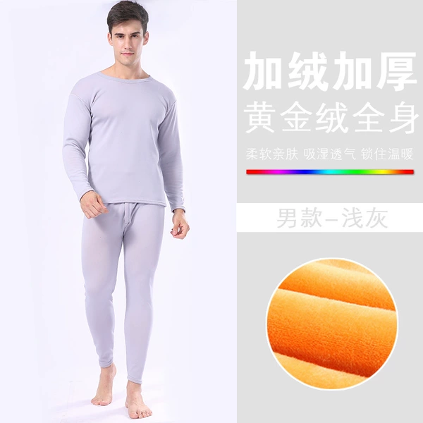 [黄金绒男士浅灰]