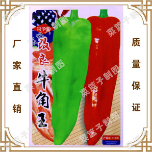 �߲˷N�� ����ţ���� �@ˇ���Բ˷N���� �̨���÷N��