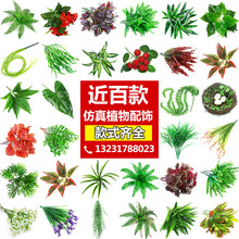 ֲ ٲݾGֲٻ҃ȱG ̈