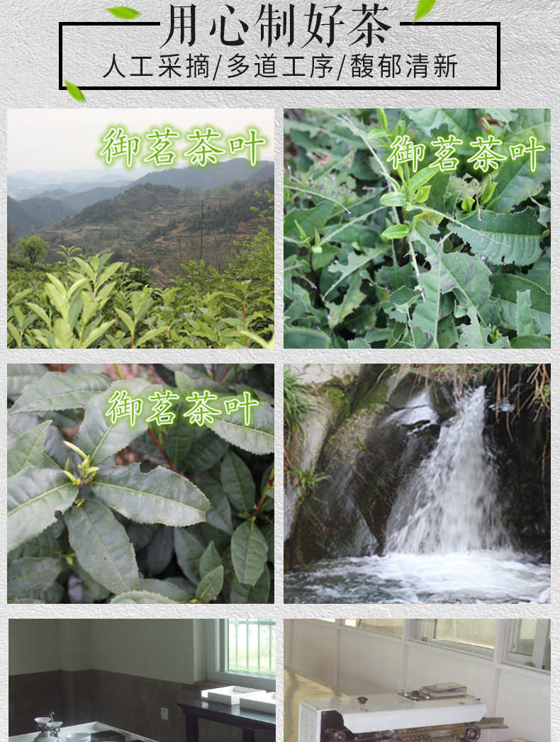 2023 Biluochun New Tea Night Market wholesale beverage origin direct sales street stalls