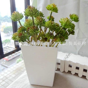 ����ֲ���ֻ6�^��ɫʯɏ����ֲ�����ϻ���䁲͏d�b�Ʒ��ˇֲ��