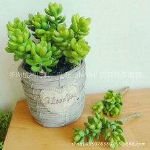 3^ϺĹ̨b[ 辰ֲ ^ֲģ