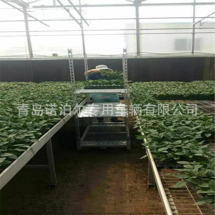 青岛厂家直销可移动育苗床 无土栽培温室大棚苗床 潮汐式育苗床