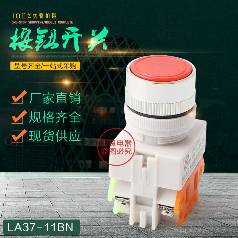 Ханчжоу Санли LAY37-11BNZS Y090-11BNZS Φ22 Плоская кнопка самоблокировка