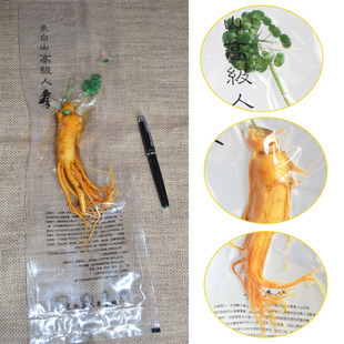 ���r�� �r�� ���r�� �L��ɽ ���r���� �a��ֱ�N �Zʳ������