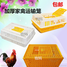 塑料笼子周转框加厚运输使用组装式家用成鸡养殖塑料鸡笼大号包邮