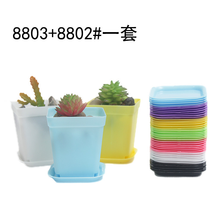 小方盆小黑方 批发塑料花盆 多彩多肉花盆育苗小方盆多肉塑料花盆