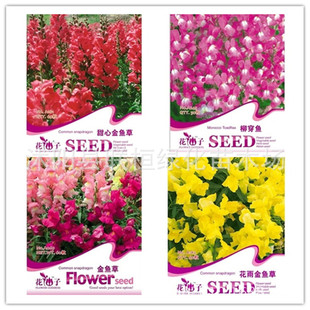 ���~�ݷN�� ���^���N�� �{�ӻ����ڻ� �����~ �ļ��׷N�����̨