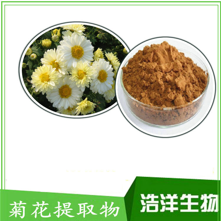 野菊花提取 菊花黄酮2% 4% 蒙花苷 杭白菊 浩洋生物