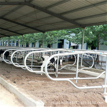 SֱN FBţO ţԙ ţ pwţԴ