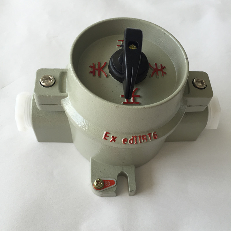 厂家批发防爆开关双联单控防爆照明开关10A防水防尘防腐照明开关