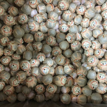 ��ӆ���~�ӹ� �Ƥ�V�|��÷��С�������º��m͢�ն�����ɢ��