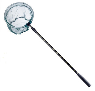 ���\��ɫ �X�Ͻ𳭾W ���� ���� ���S����s��λ ���~�W