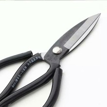 �������R�ʿ��������l���^1̖���^��2̖���ü��ӷ��m�������ü���