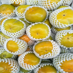 ������Ʒ�N ��S���� �����������Ә� һ�������������Ә�