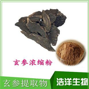 玄参提取物 元参乌元参提取物 黑参提取物 玄参粉-阿里巴巴